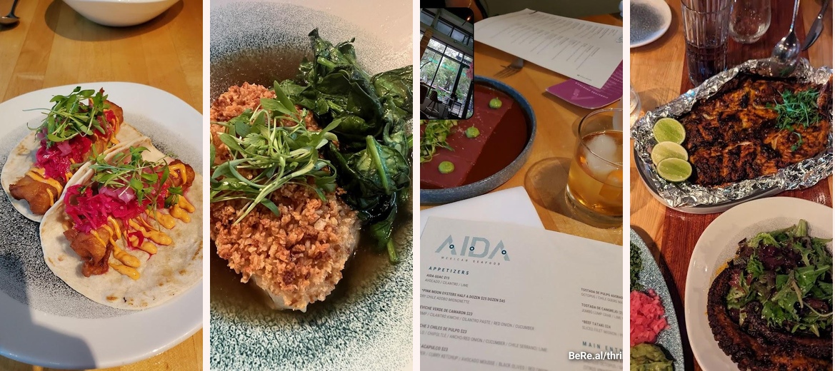 Aida Gallery Image 6